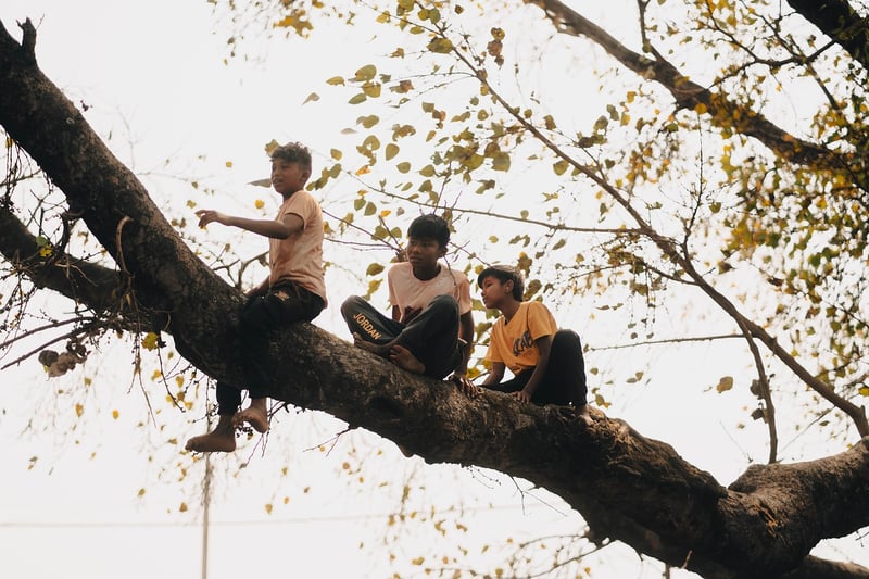 Treehouse Terrace